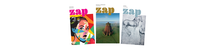 de drie magazines van Zap