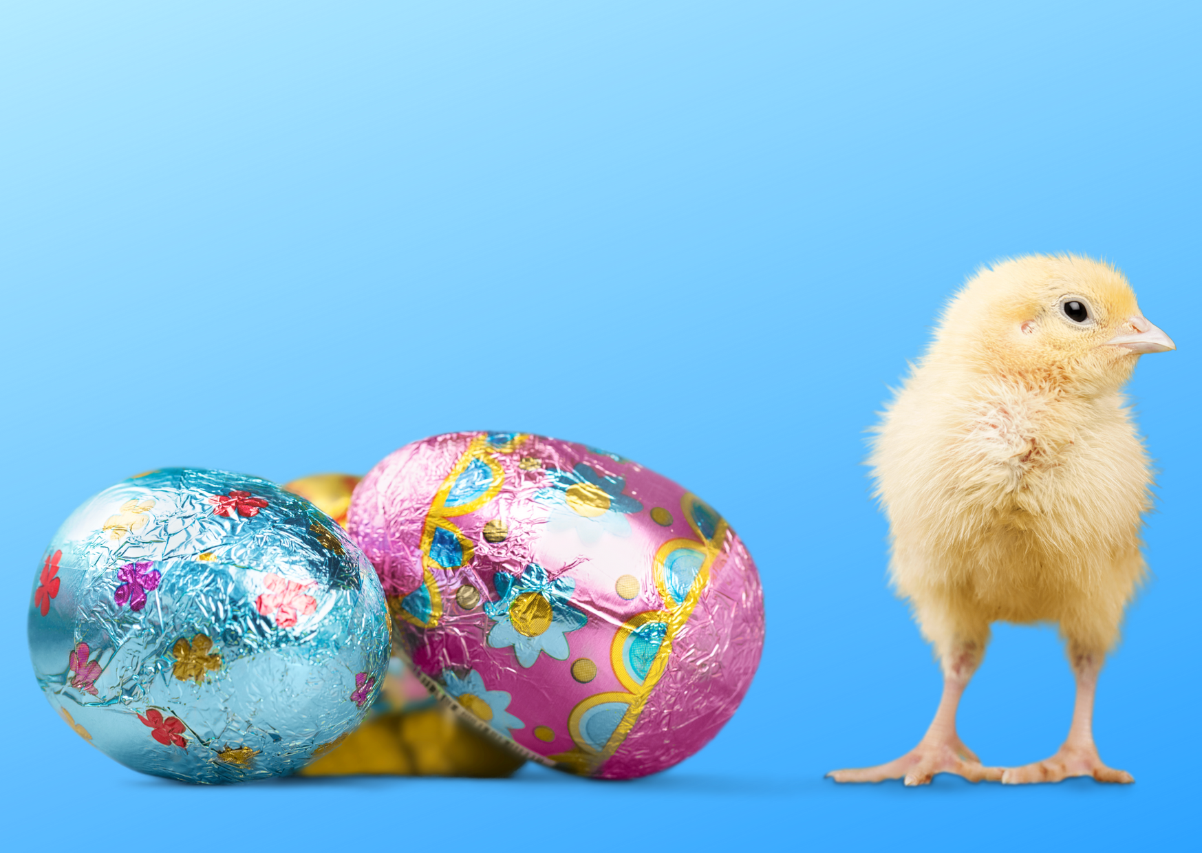 Krak |Tijd voor Pasen en eitjes
