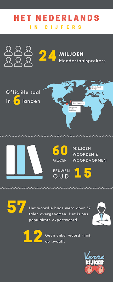 het nederlands in cijfers  infographic