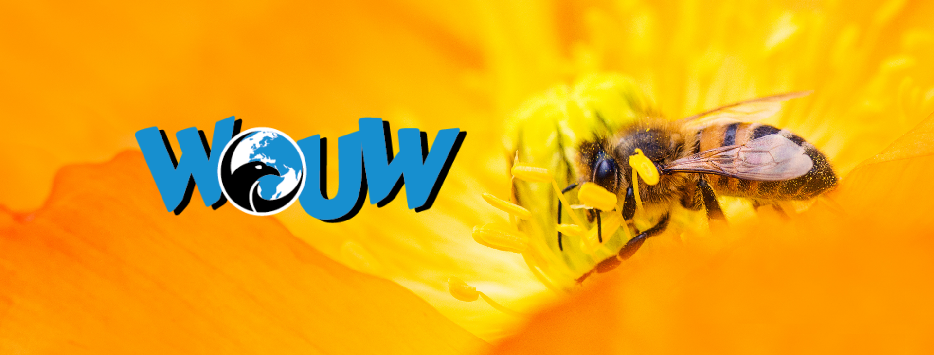 Wouw | Belang van bijen