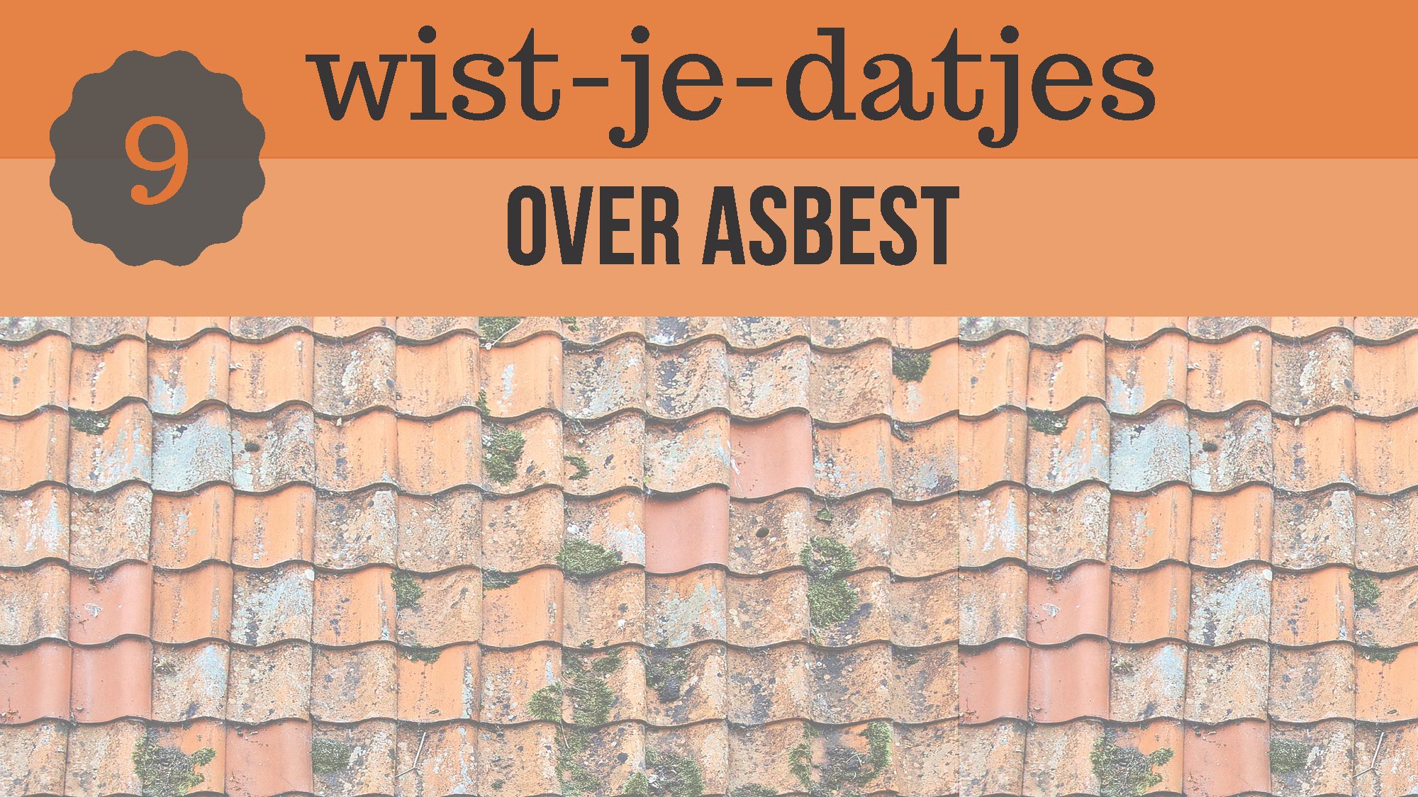 9 weetjes over asbest